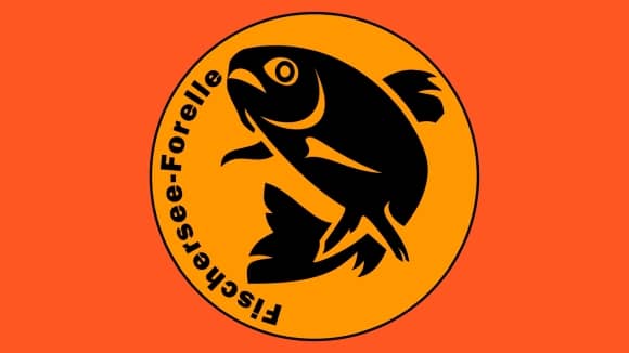 Fischersee-Forelle · Ein Projekt von PJWEB